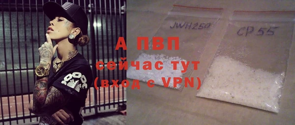 ешки Инта