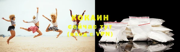 ешки Инта