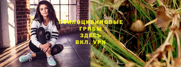 бошки Зерноград