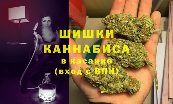 прущая мука Инсар