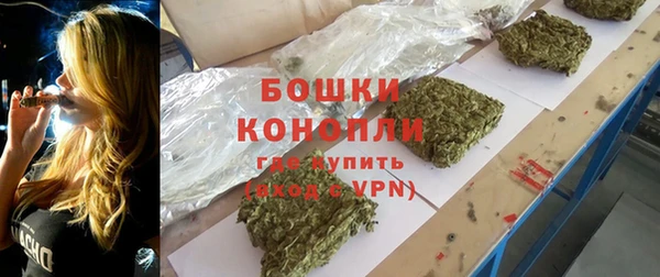 ешки Инта