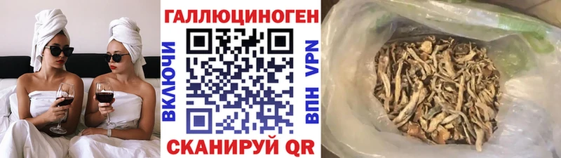 Купить закладки  Сатка  Псилоцибиновые грибы Magic Shrooms 