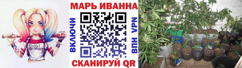 Бошки марихуана ГИДРОПОН  Купить закладки  Сатка 